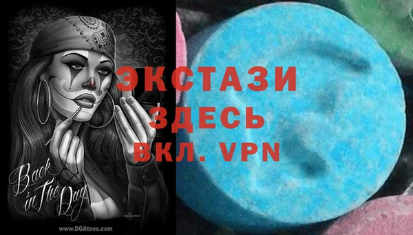 ECSTASY Алзамай