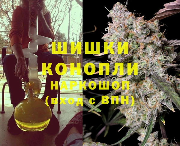 шишки Алексин