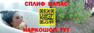 apvp Аргун