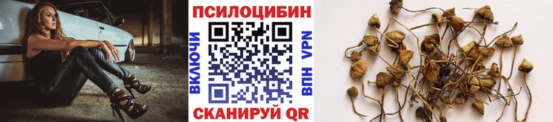 Псилоцибиновые грибы мухоморы  Амурск 