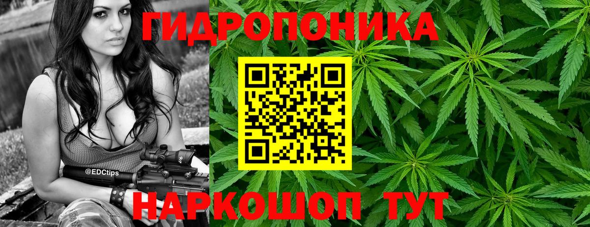 Бошки Шишки индика Амурск